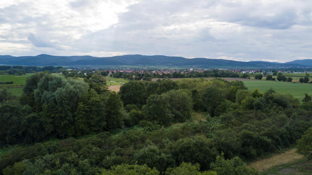Ferienhaus Lenchen Niederkirchen bei Deidesheim Exterior foto